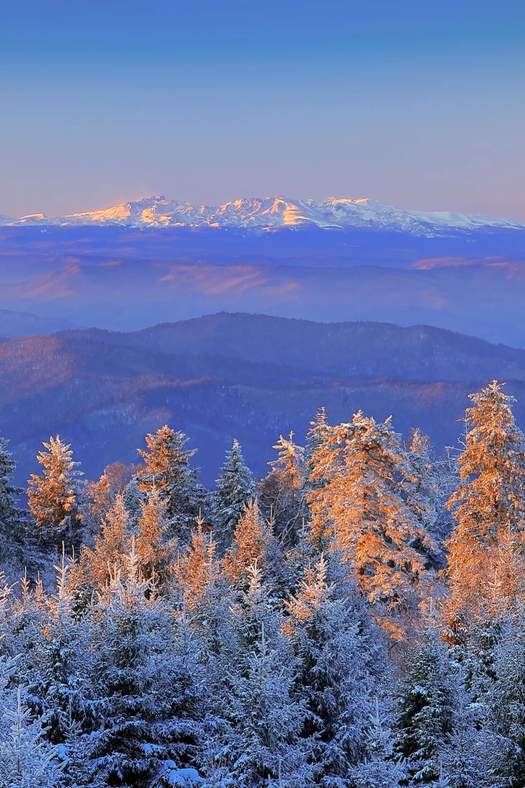 韩流延边,延边韩流