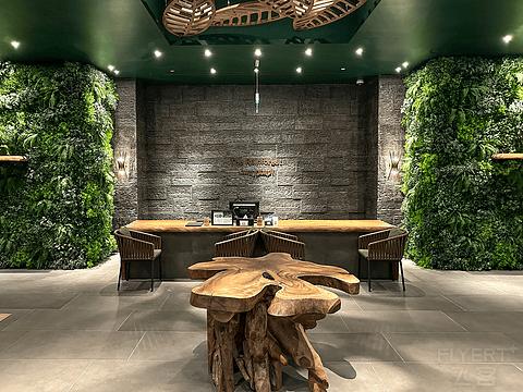 阿联酋丽思卡尔顿,阿联酋野奢帐篷