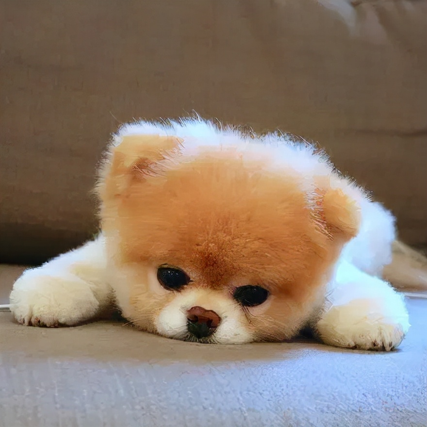 三万块钱的培训班,三万元给孩子报个培训班