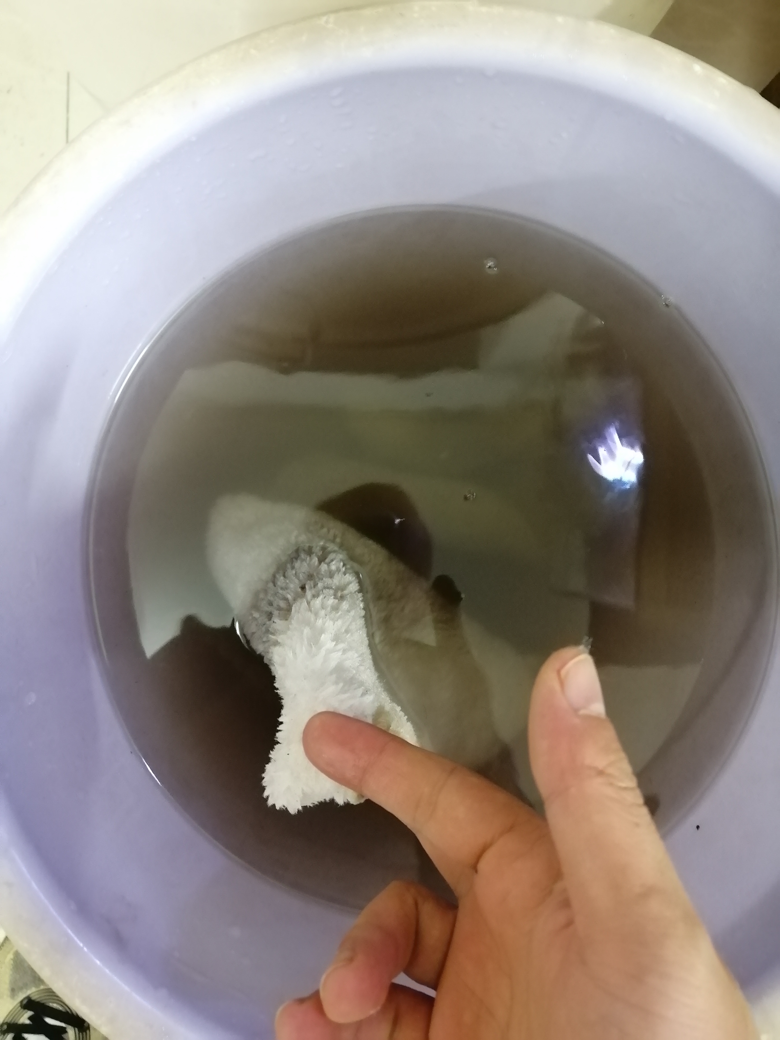 鱼缸换水管子怎么吸出来水,鹦鹉鱼缸换水的正确方法