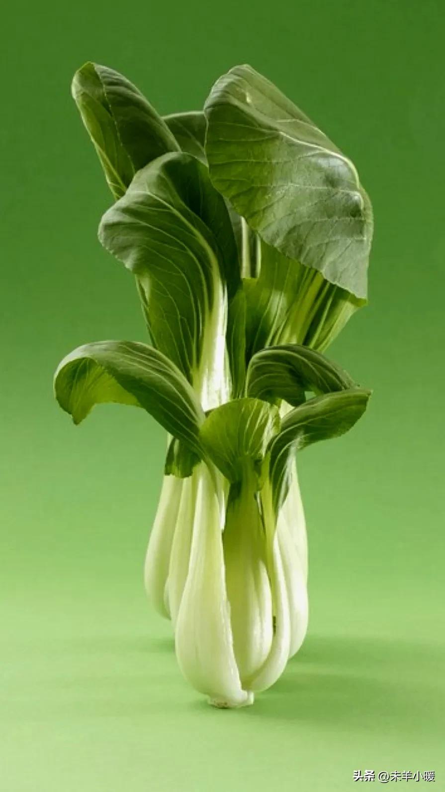 最美的手机壁纸大全,养眼养心的壁纸