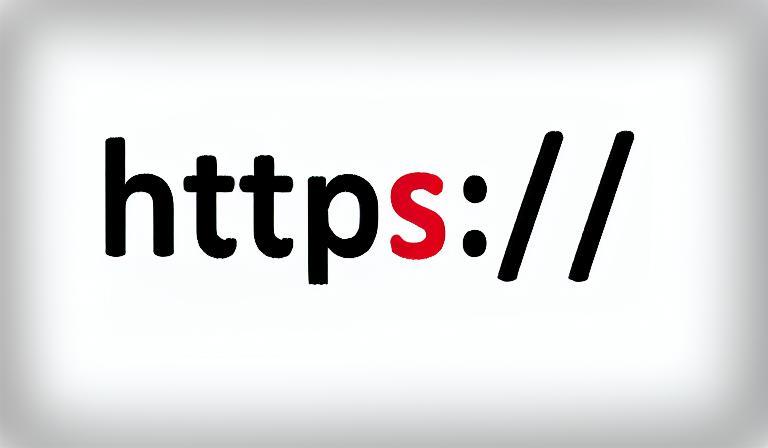 怎么才能及时发现恶意或错误签发的SSL证书？