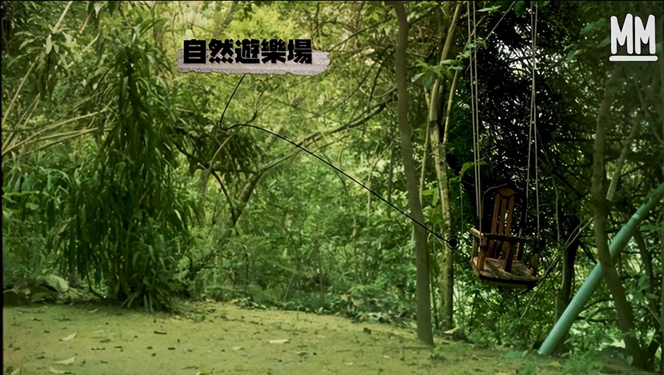 她隐居香港33年，坐拥天然泳池和农场，却用了一辈子二手货！