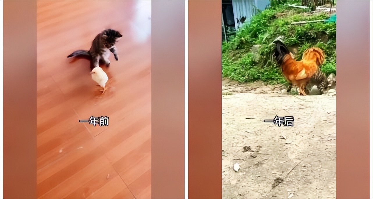 神回复怎么回复比较高情商,有意思的神回复方法