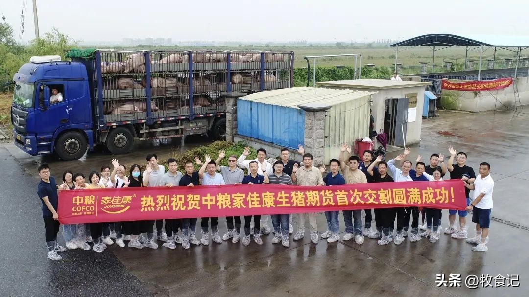 上市猪企上半年巨亏仅一家赚钱,中国十大猪企利润暴增