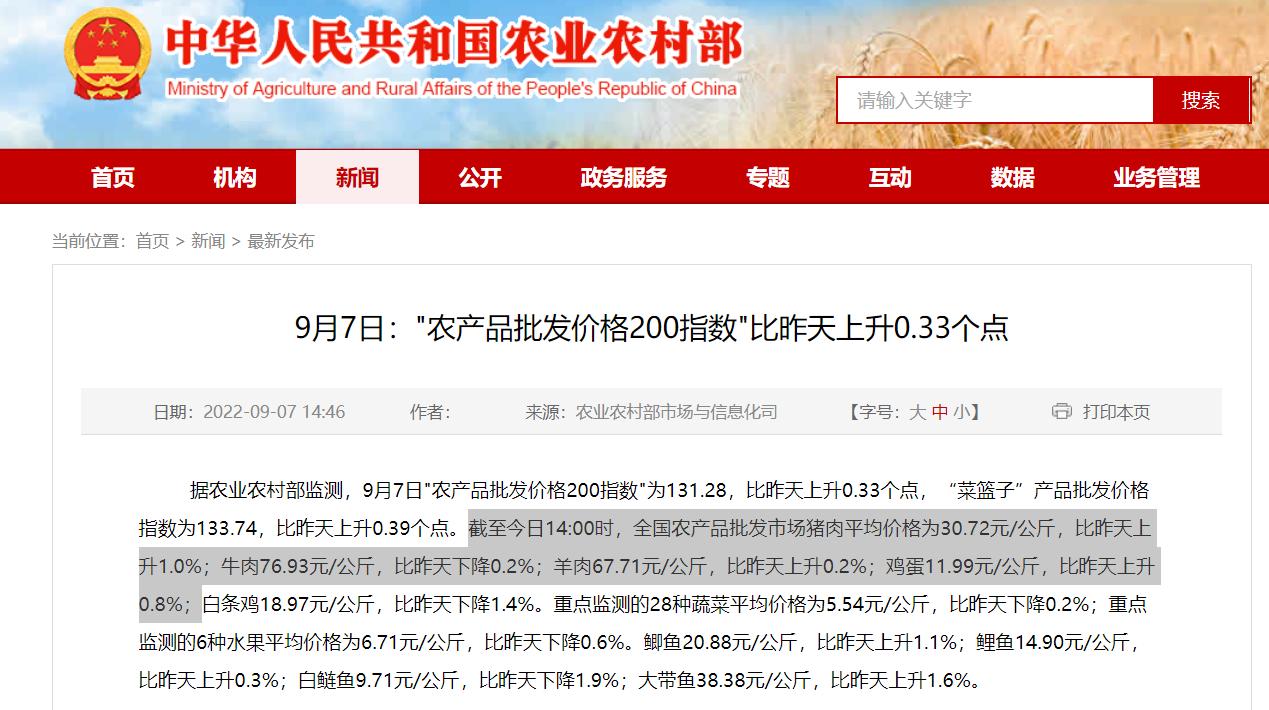 行情突变！9月8日猪价“崩塌预警”，玉米、鸡蛋、油价“太揪心”