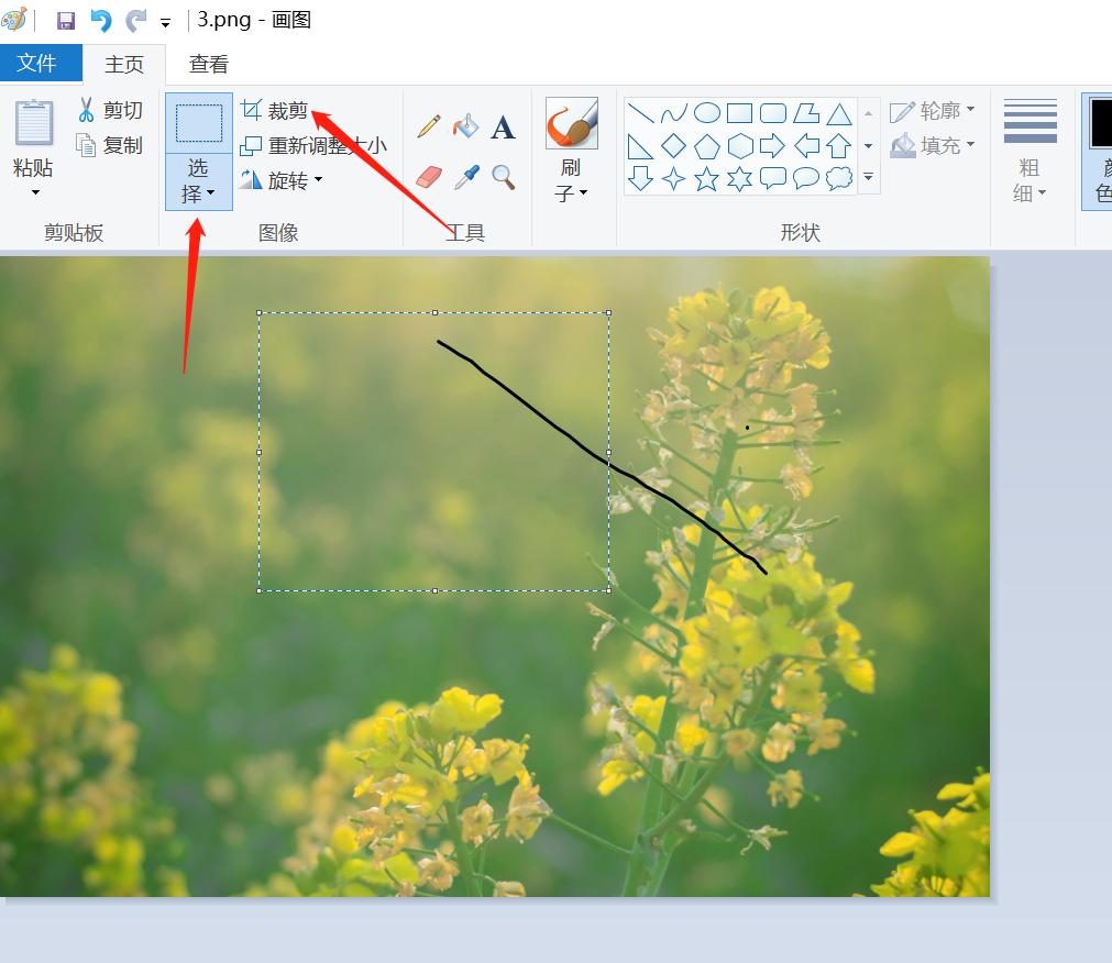 裁剪工具如何裁剪图片,用裁剪工具怎么裁剪图片