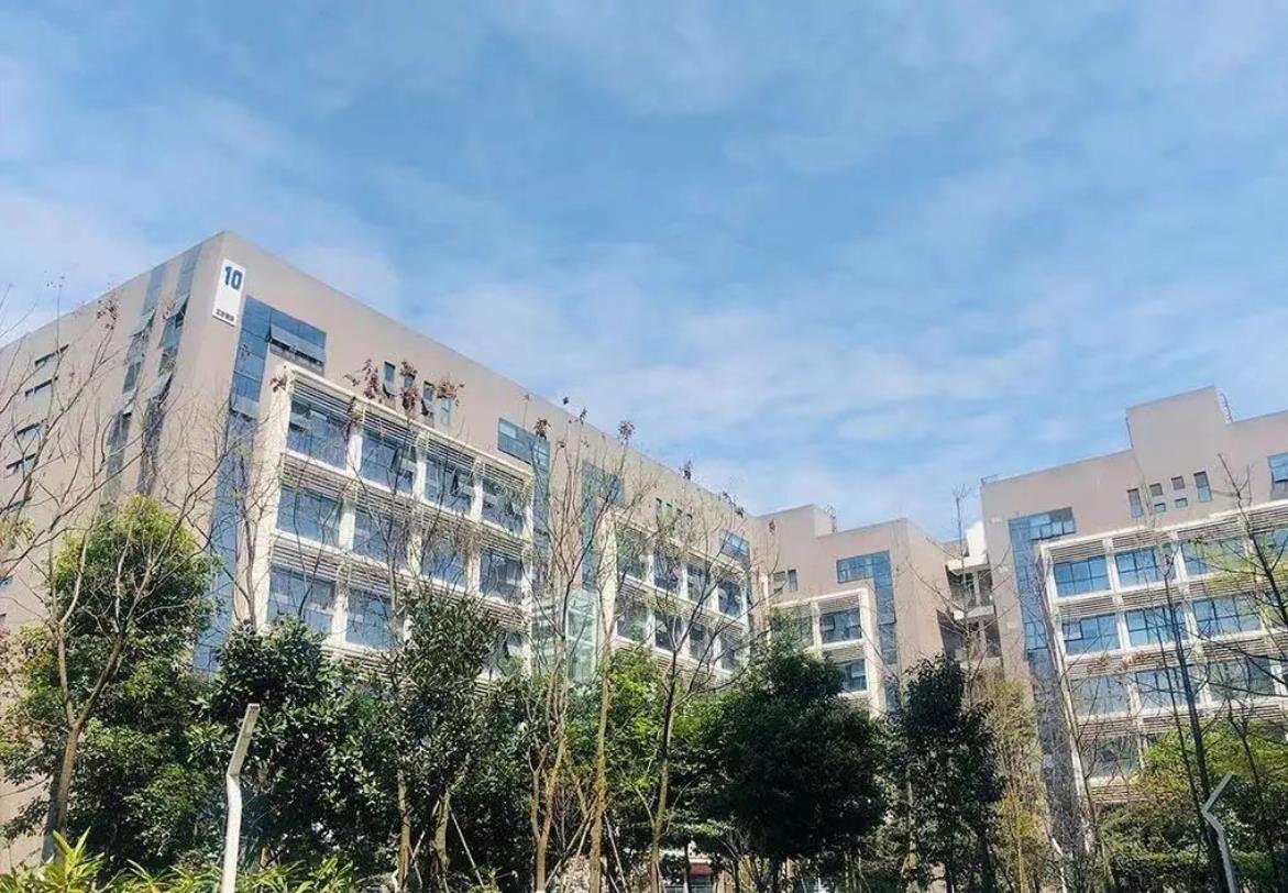 成都中科科技创新人才研究院,成都中科科技创新人才研究院揭牌