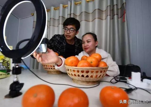 广西果农赚钱吗,广西果农发展