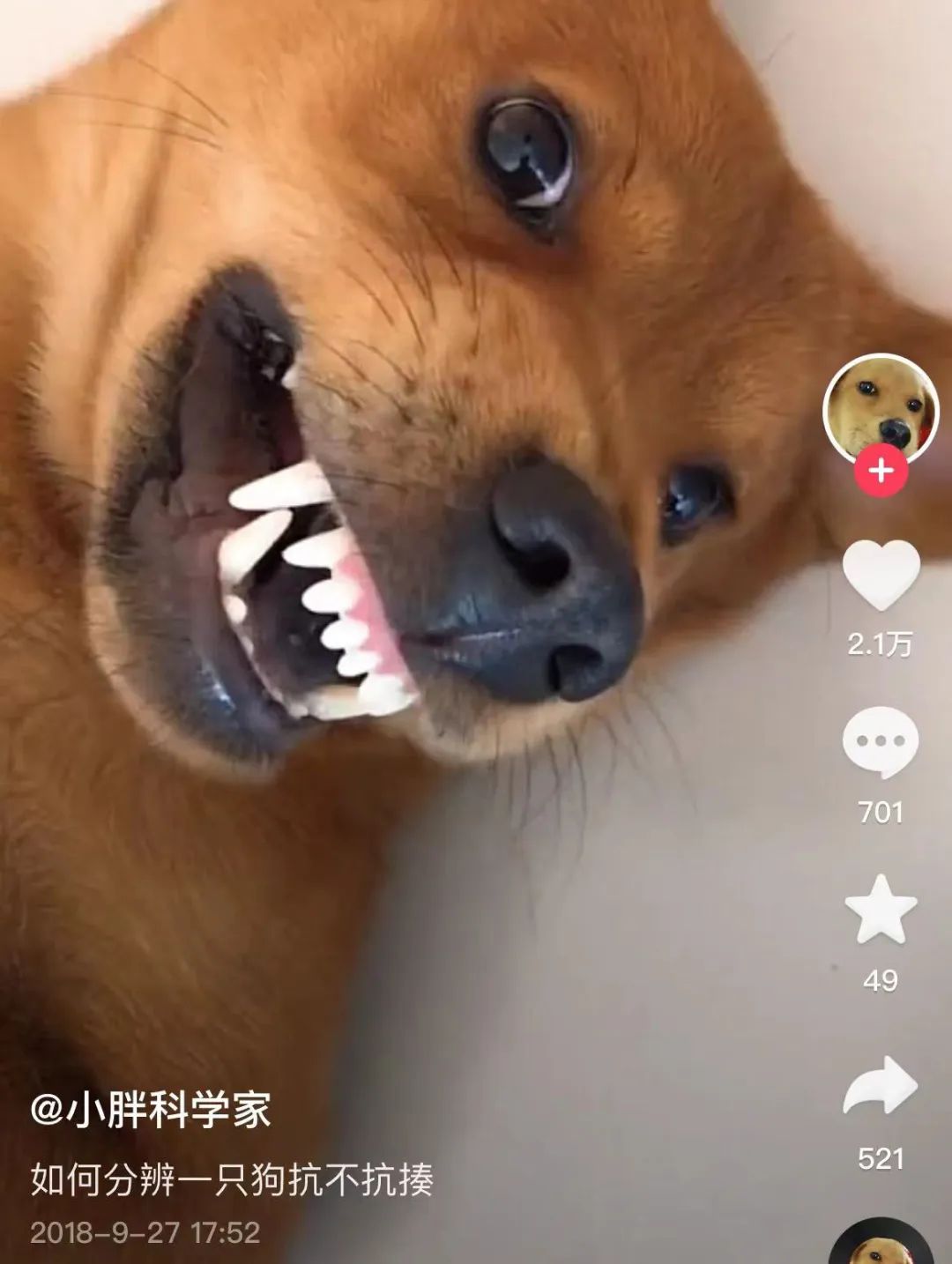 六百万网红想洗白反被封，他哭了狗笑了？网友：他活该