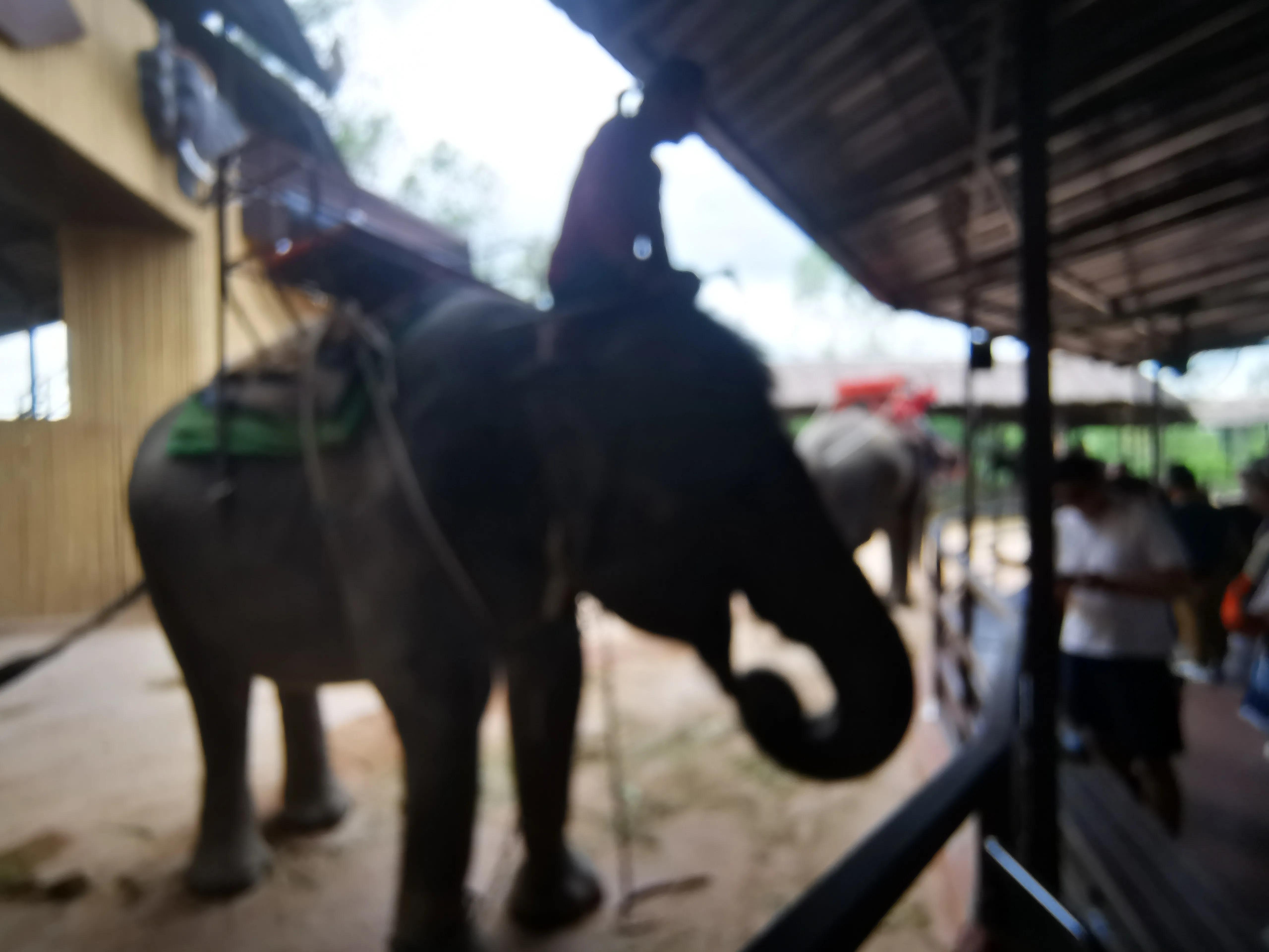 囧途三部曲泰囧,囧行在线观看完整版