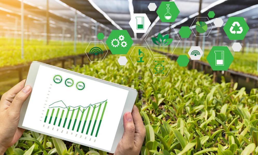 好样的!马云带科技回国,国内民营科技企业“摩拳擦掌”