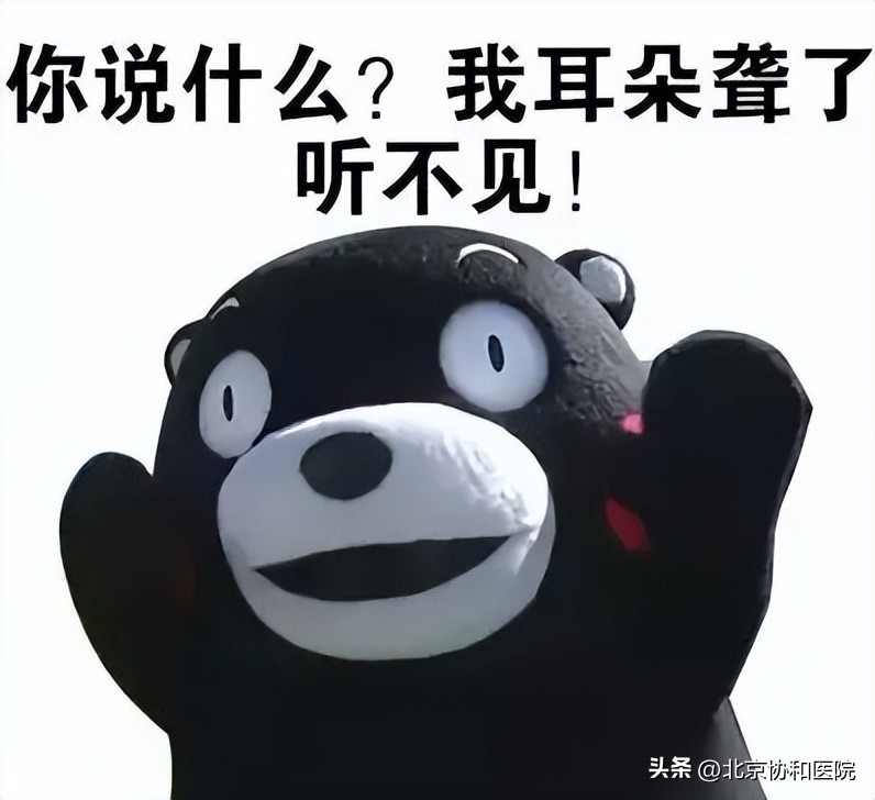 鍗忓拰鏄熷師璁″垝,鍗忓拰鏄熷師璁″垝椤圭洰鎴愬姛