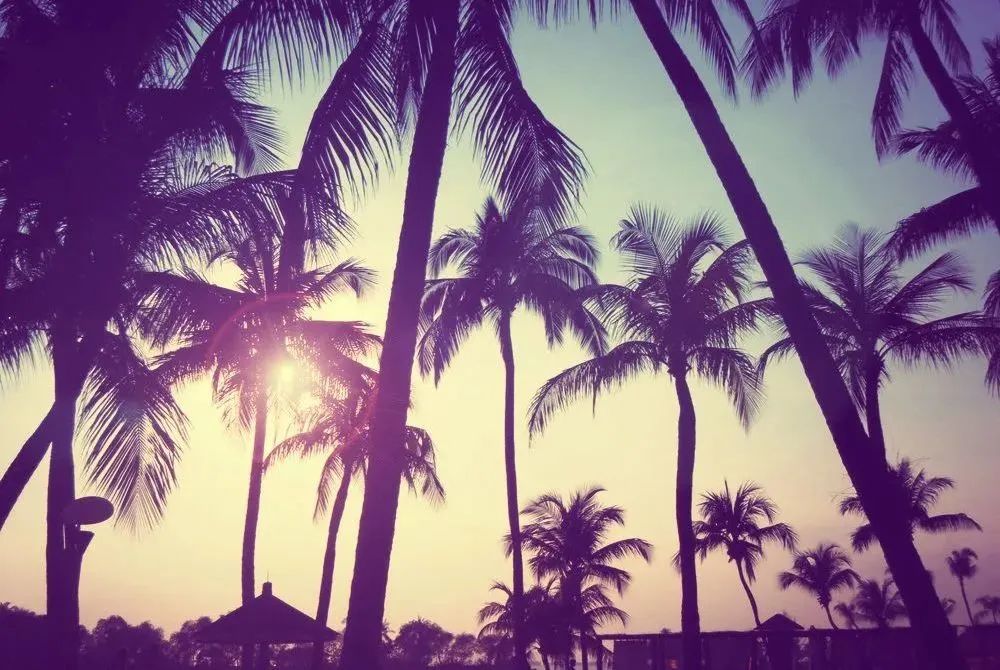 新加坡垃圾需要分类吗,新加坡没有垃圾袋怎么办