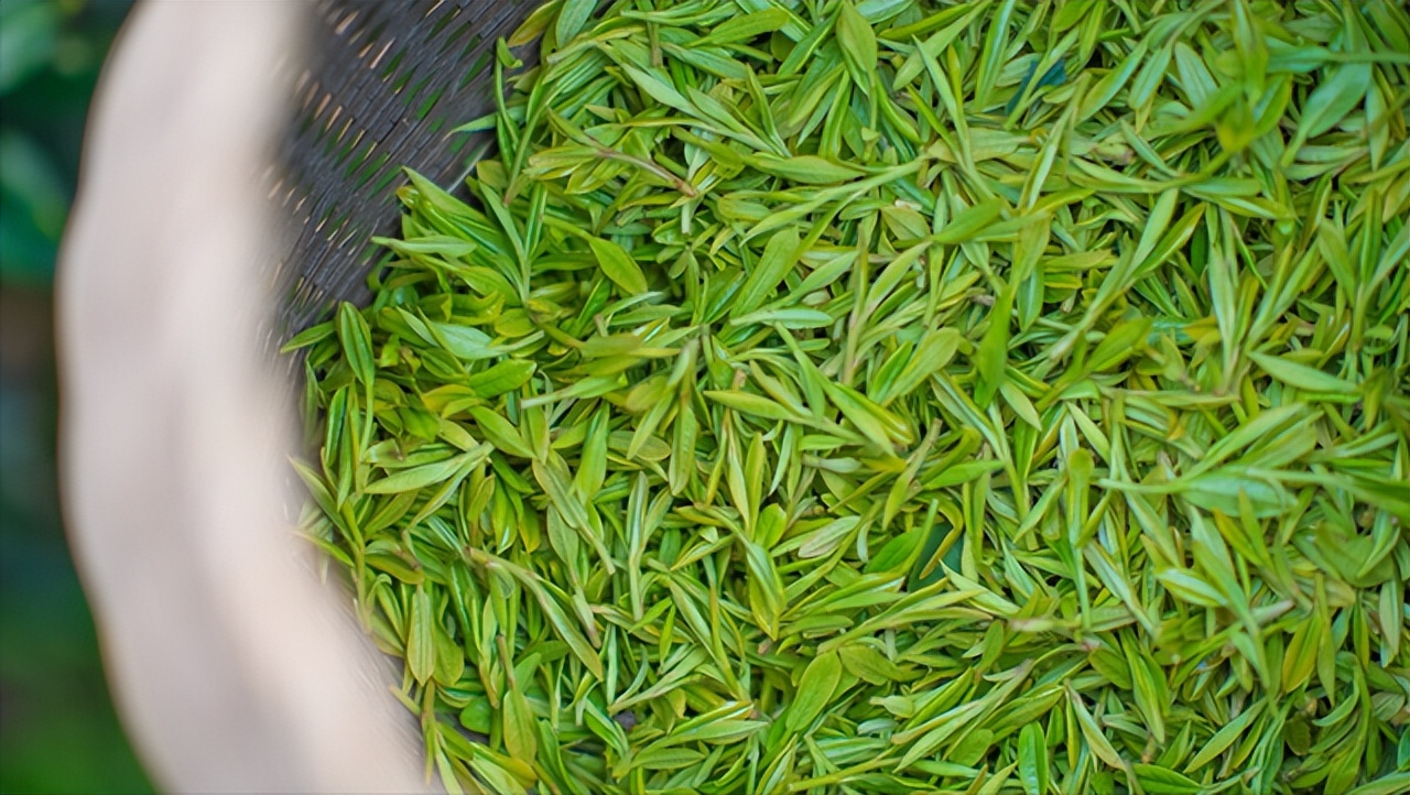 想减肥迈不开腿试试这款减肥茶,想要减肥又不想运动