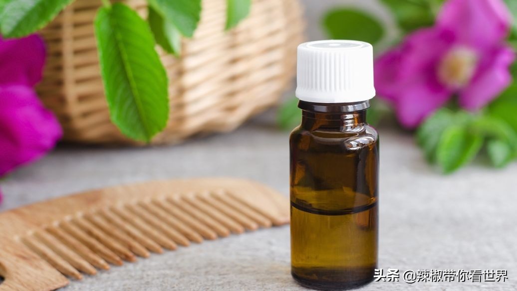 惠州市海岸线,惠州的海岸线