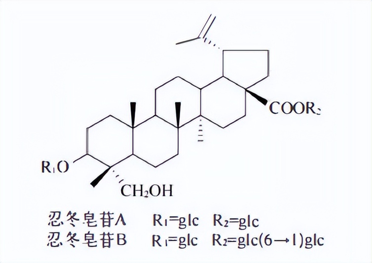 哪些植物含有三萜成分最多,萜烯类物质对植物的功效