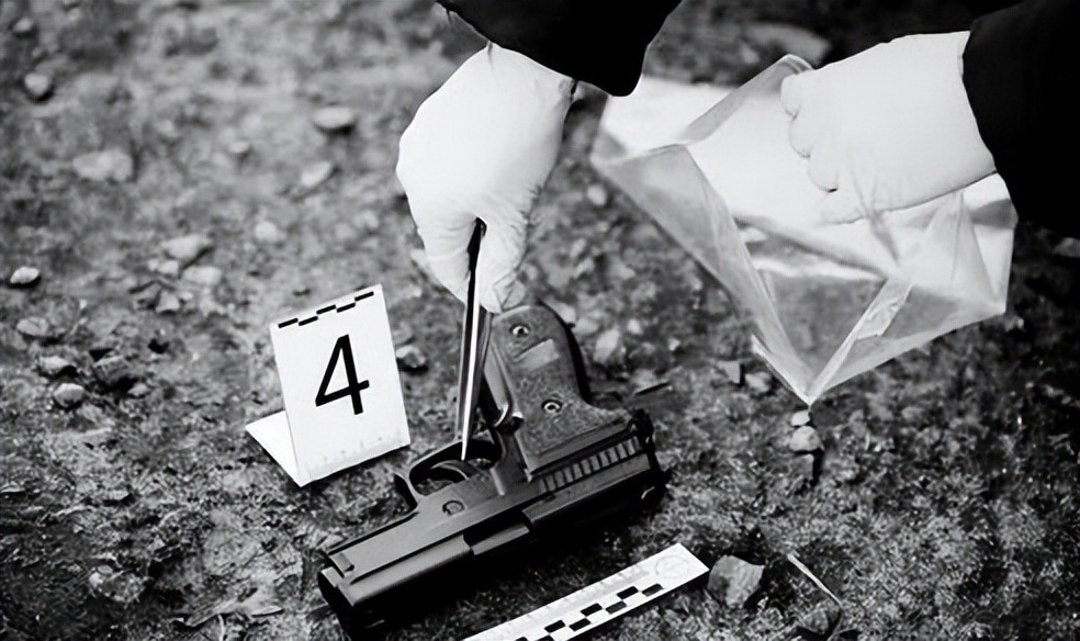 李玫瑾教授讲三个奇案,李玫瑾教授讲人品