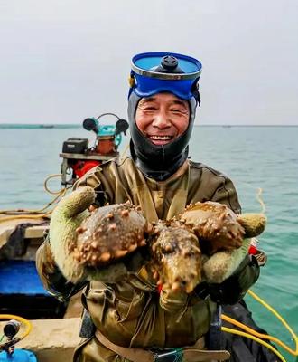 海参稍微泡变质了但是不臭能吃吗,活海参可以直接冷冻吗会不会变质