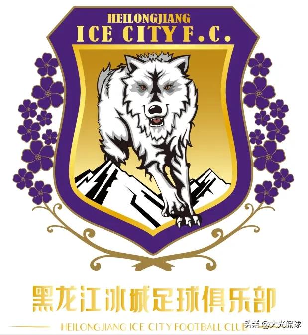 中国足球曾经希望之星,中国足球从辉煌到落寞