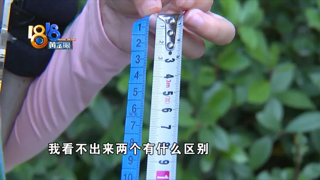 披萨的尺寸是怎么算,披萨怎么算尺寸