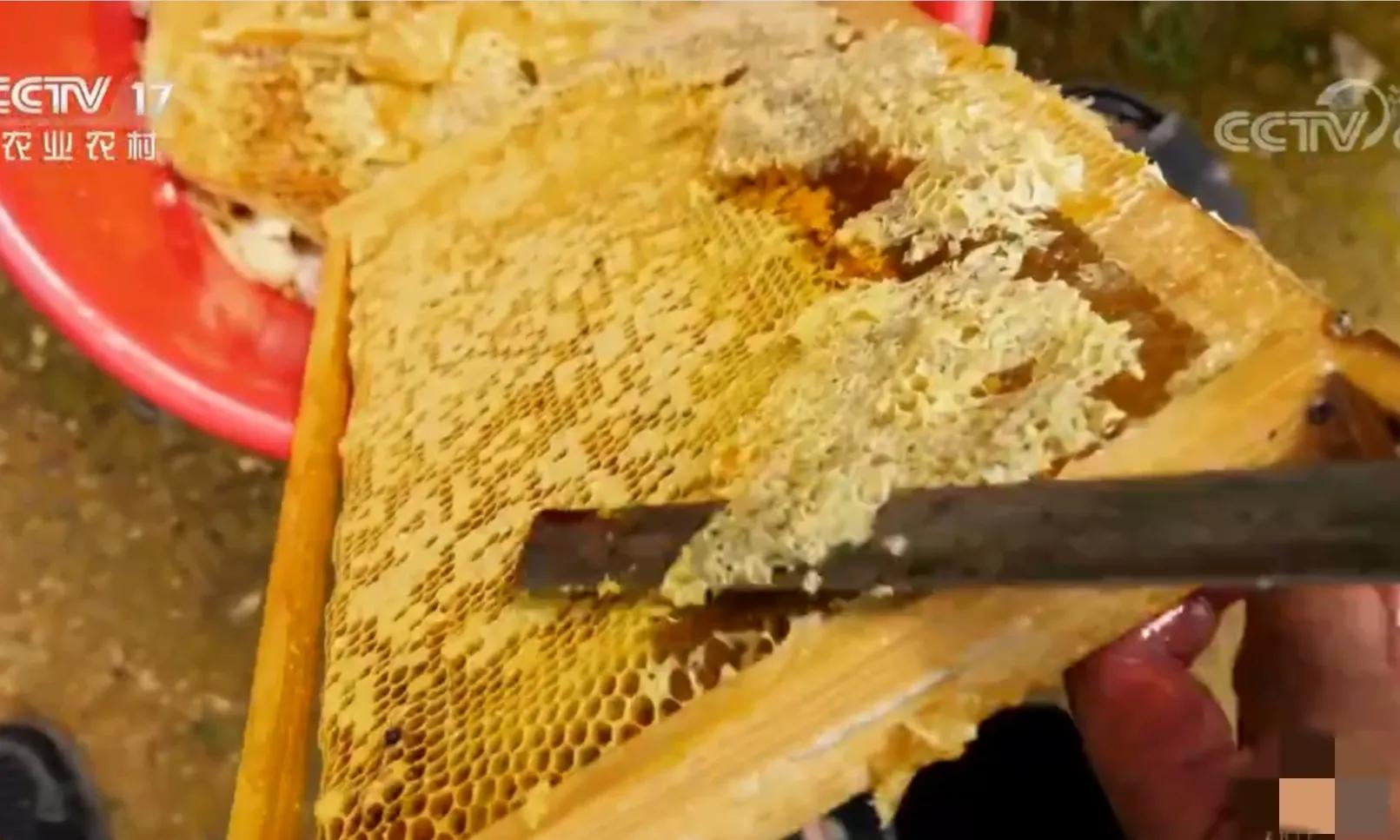 农村小伙承包80亩果园,90后小伙承包15亩果园养活3个孩子