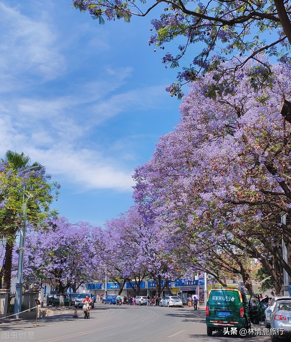 昆明适合避暑养老的地方 (昆明避暑民宿)