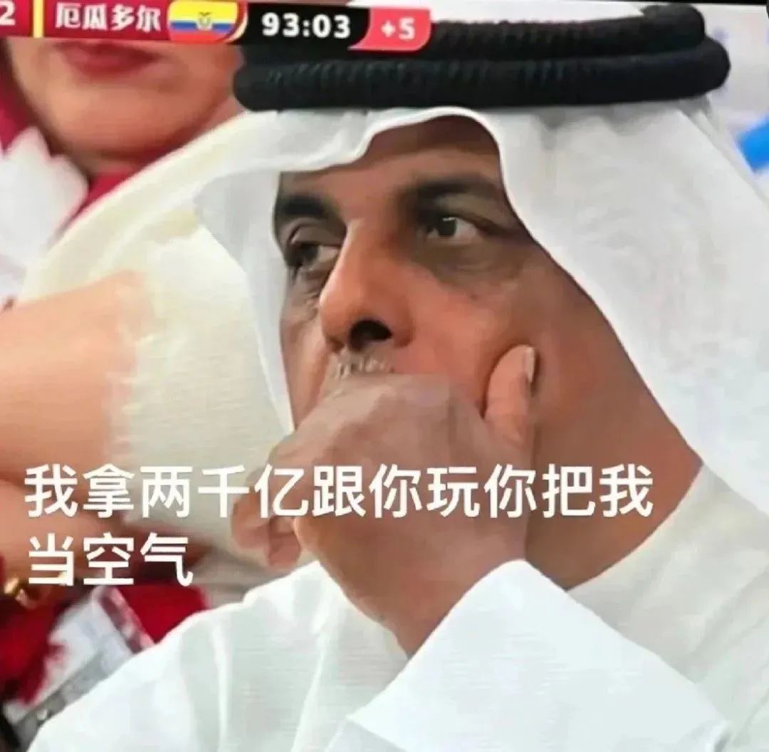 卡塔尔15岁小王子表情包,卡塔尔小王子气出表情包原视频
