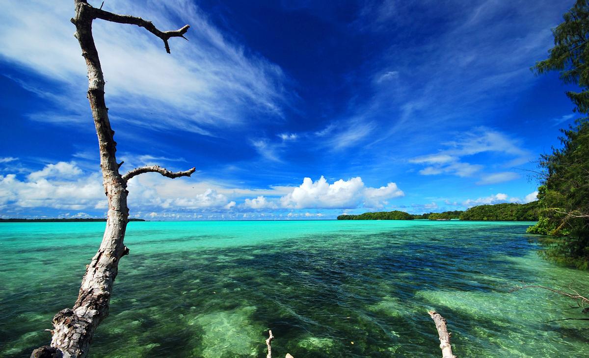 帕劳水上飞机旅游,帕劳旅游攻略厦门