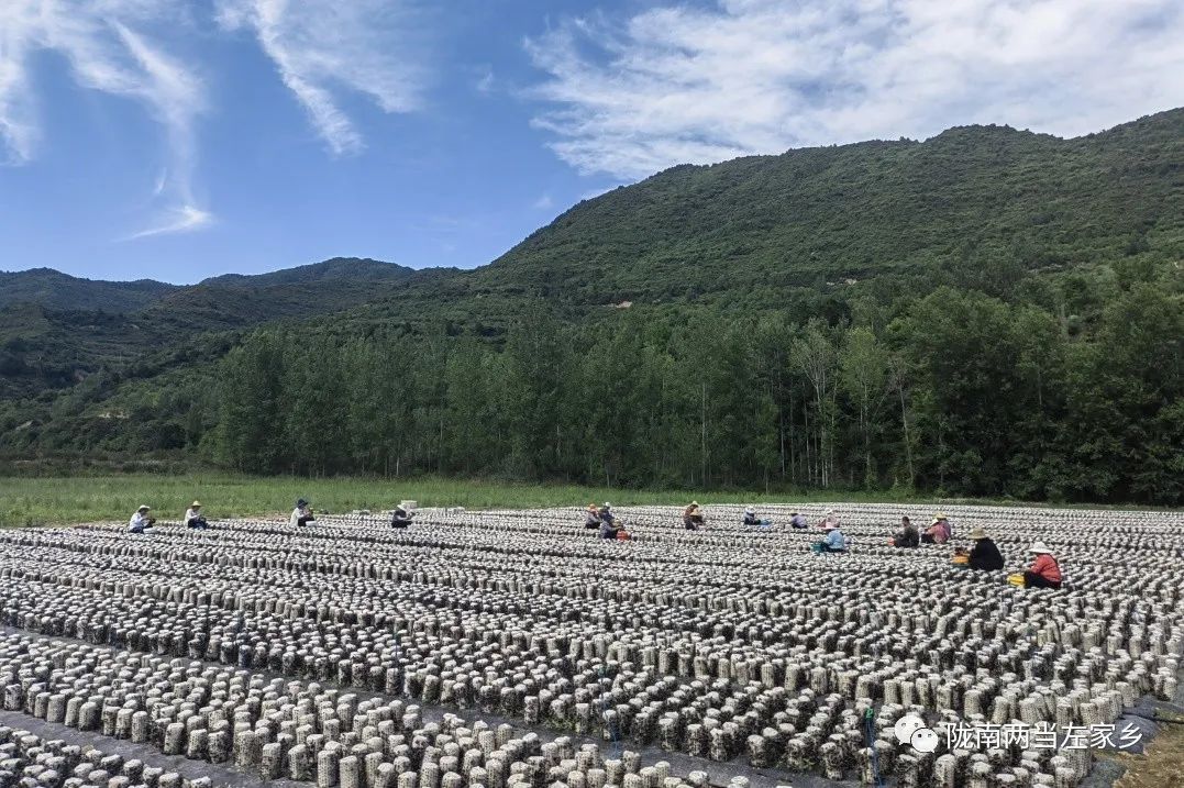 【妇女就业】在左家，有一种幸福叫“家门口”吃上“产业饭”