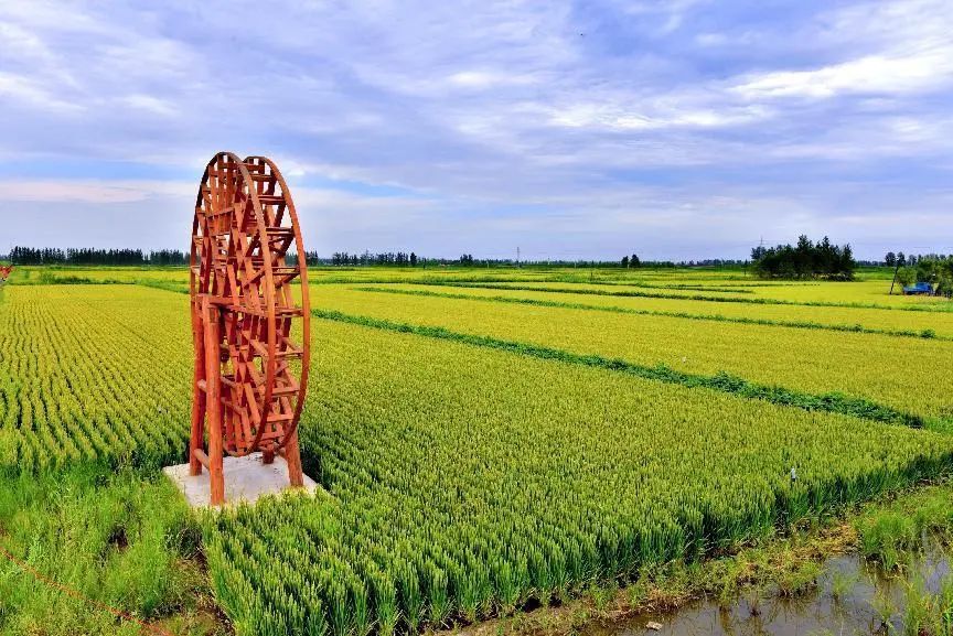 盘锦振兴乡村,产业振兴抱团发展辽宁盘锦