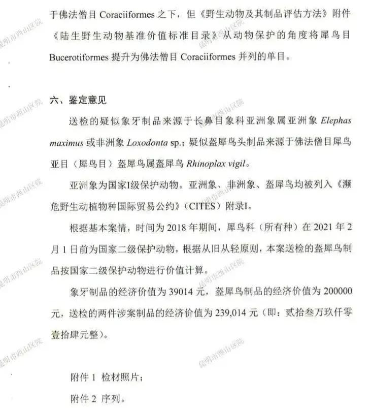 “飞来横祸”，女子买盔犀鸟吊坠获刑10年，对我们有何警示？