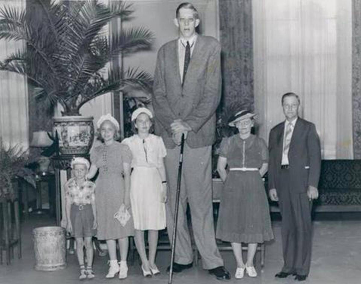 世界身高最高的10个人,盘点世界上最高的人3米61