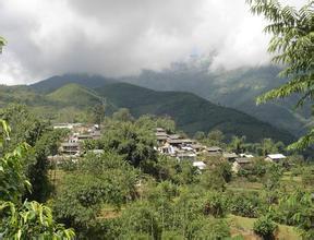 勐库镇十八寨,勐库十八寨坝卡古树普洱茶