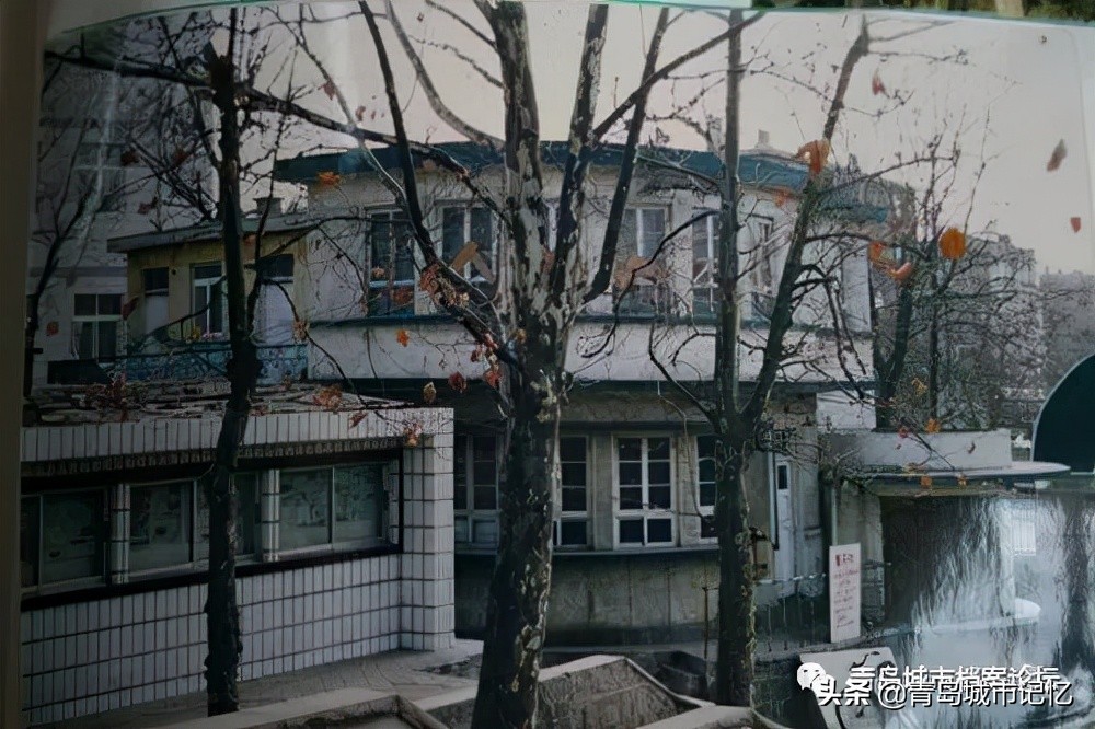 青岛市第十六中学简介,青岛第十六中老照片