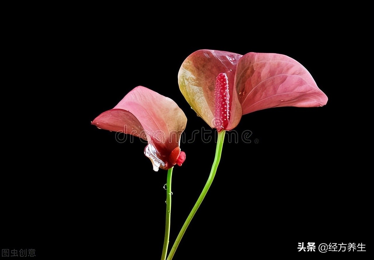 治疗过程中，医生和患者的配合