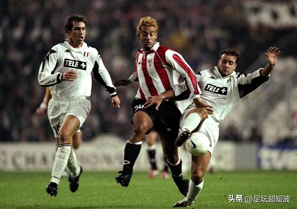 喜鹊死亡的视频,喜鹊之死完整视频