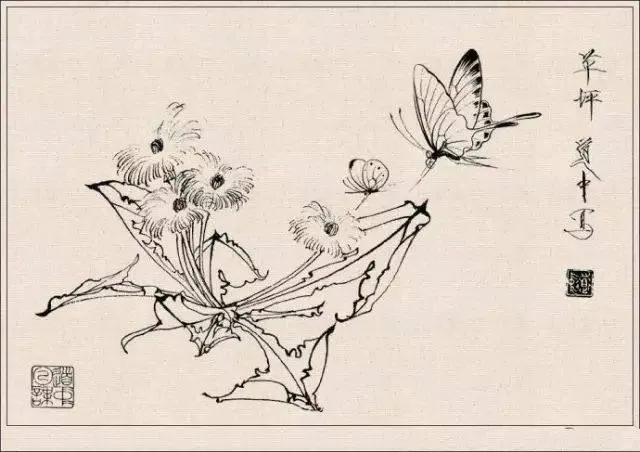 工笔草虫白描王道中,写意花鸟画草虫绘画过程分享