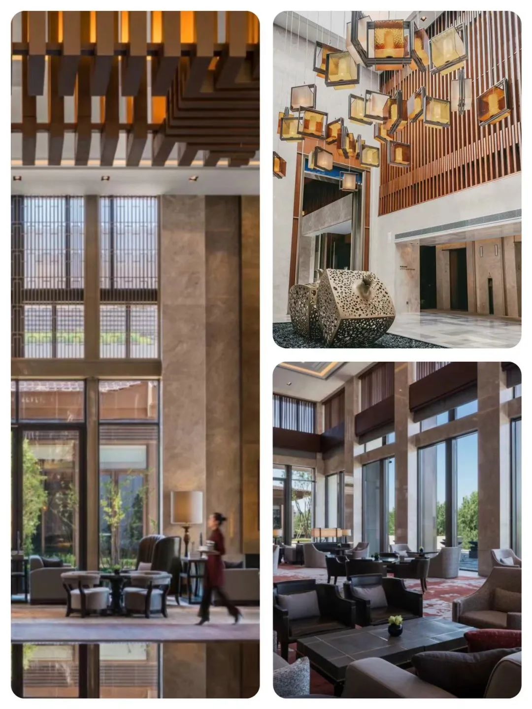 西安凯悦酒店集团,西安凯悦五周年