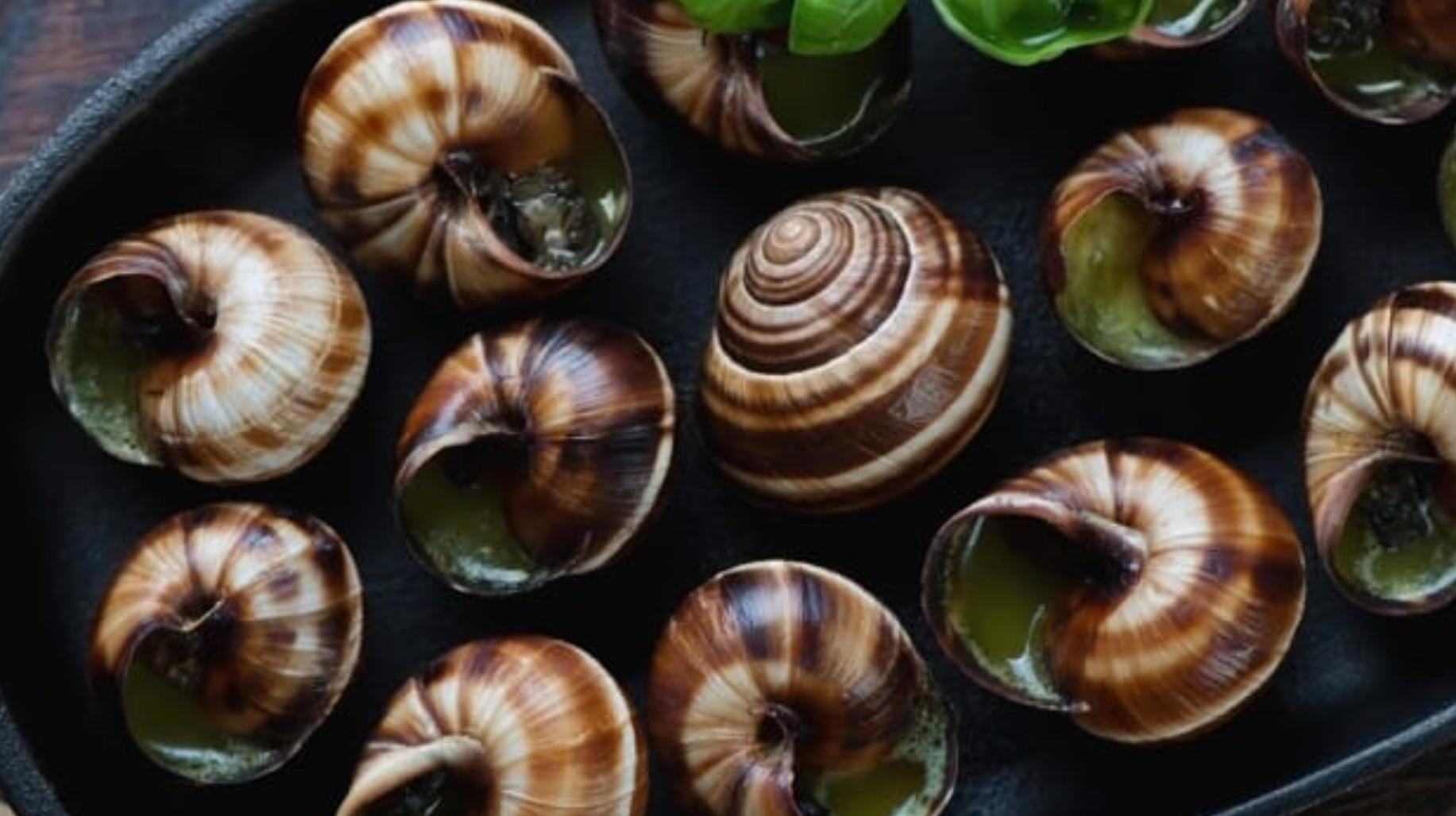 蜗牛到底有多美味,世界上最美味的蜗牛
