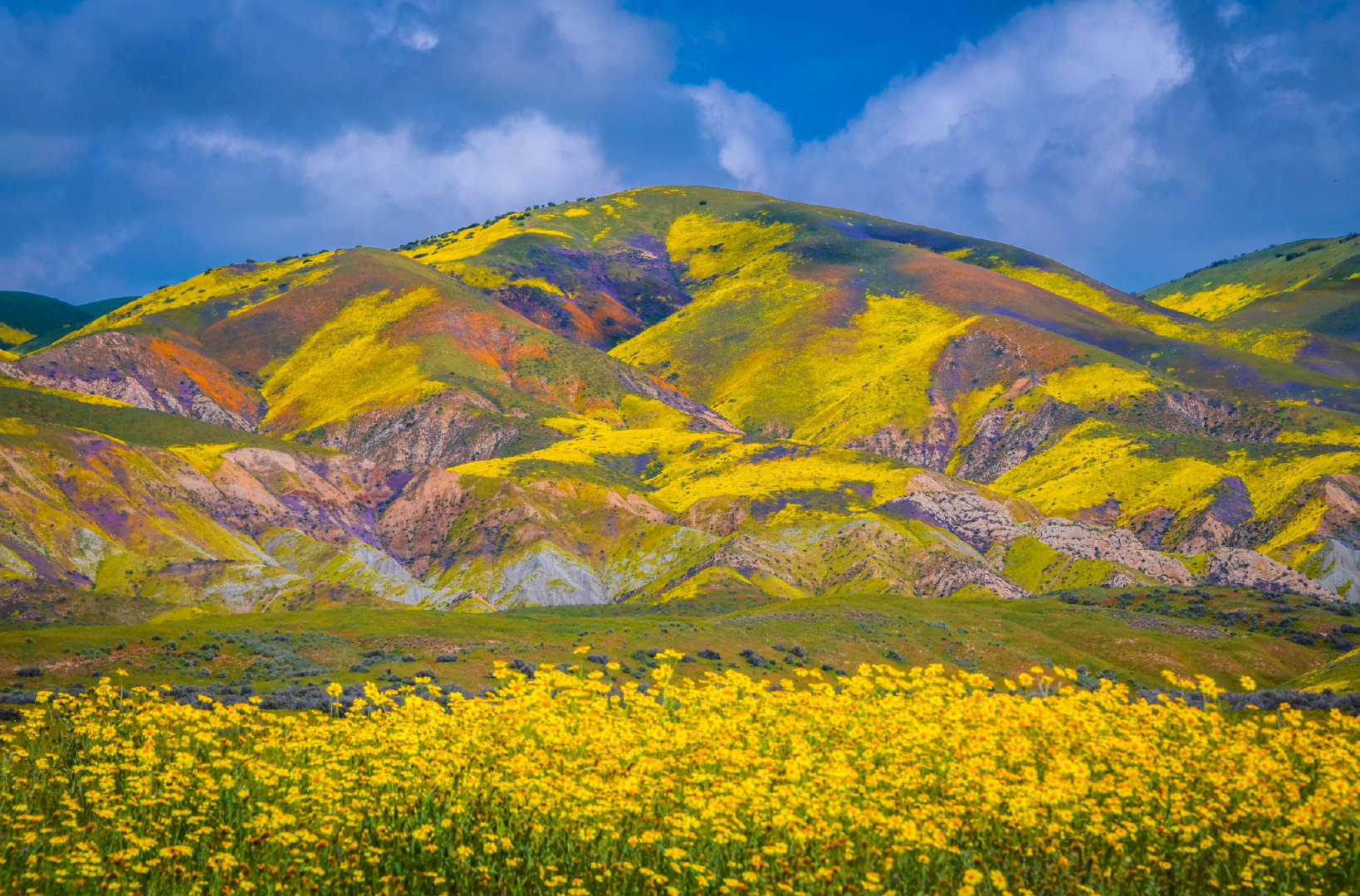 中国的问题实在太复杂了