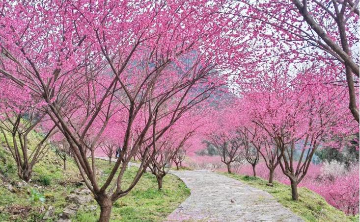 神秘湘西走个春在家吃自助烧烤,神秘湘西走个春