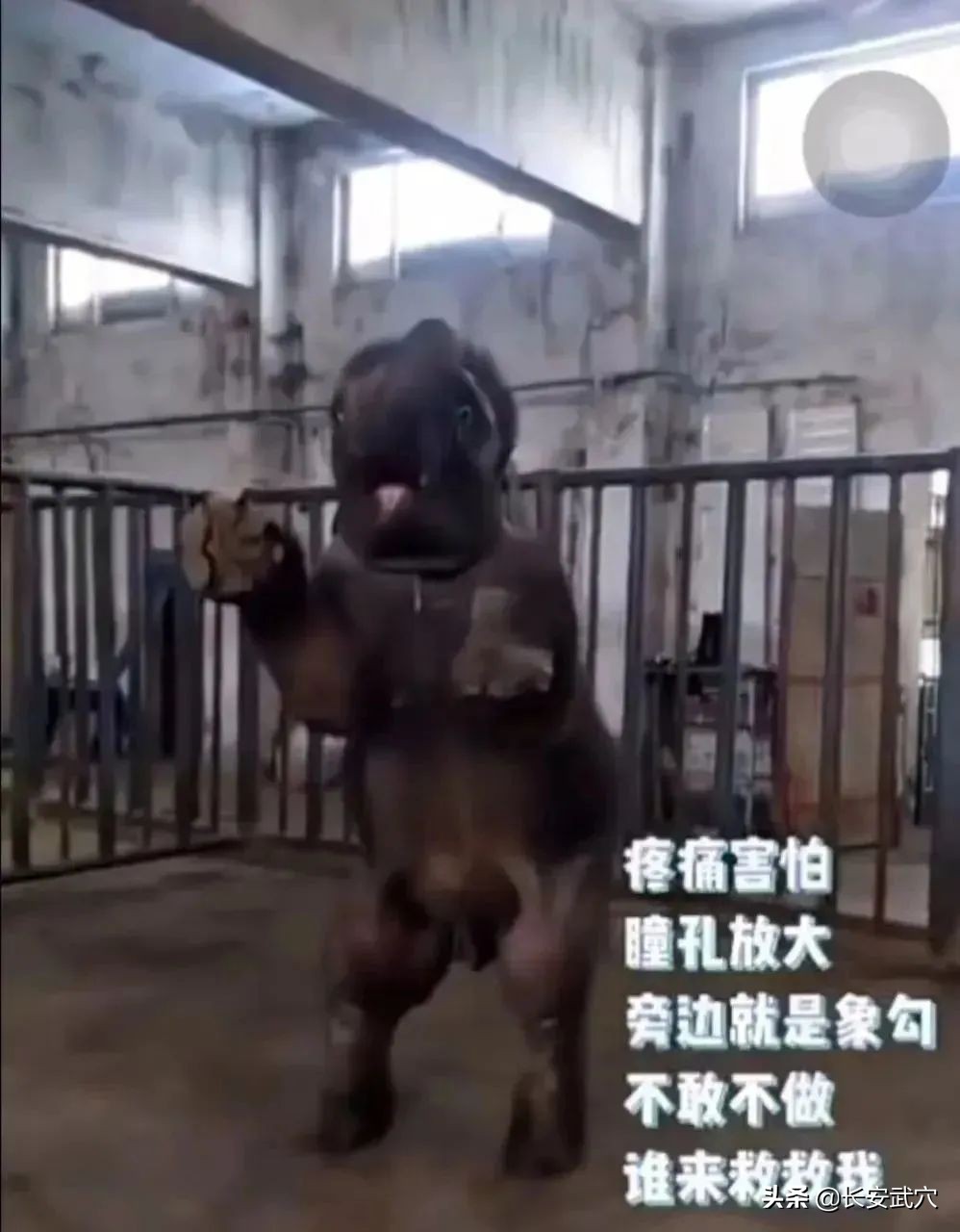 全网最近大事件,最大丑闻案件