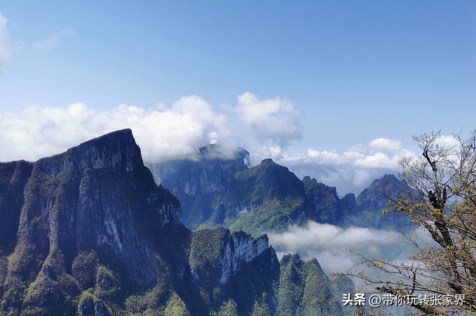 张家界5天4晚旅游攻略和费用明细,张家界旅游攻略和费用五天四晚