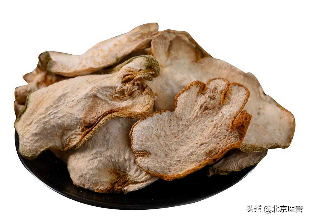 佛手的特点,佛手有什么果型