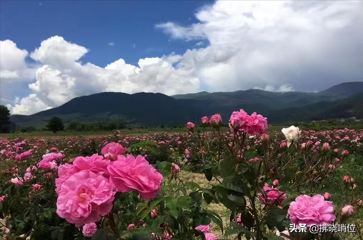 驻外武官手记——徐海潮《异国他乡》之保加利亚（连载6）