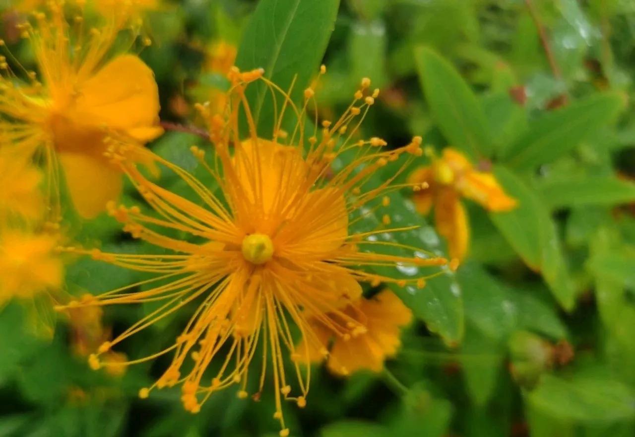 自主创业的好机会,从个人生活经历中寻找创业机会