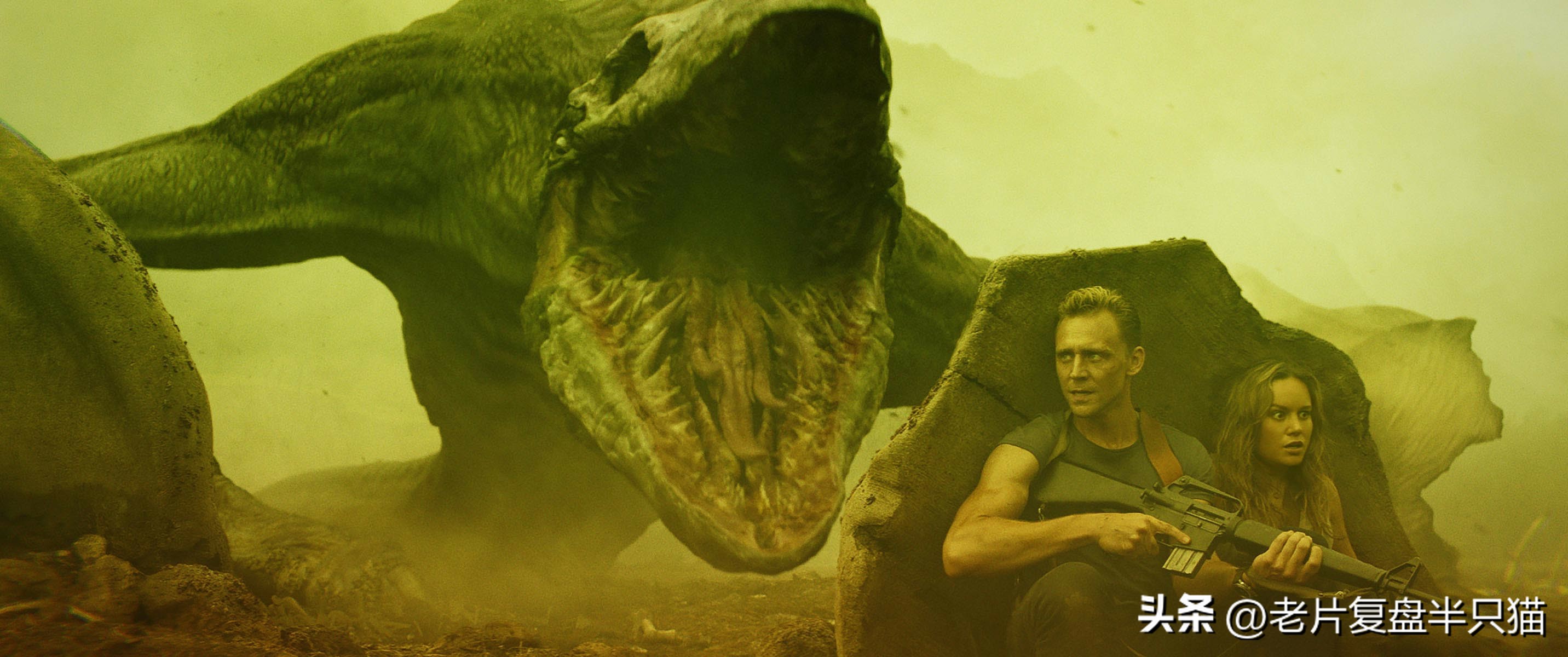 怪兽宇宙有多少只哥斯拉,怪兽宇宙哥斯拉历史