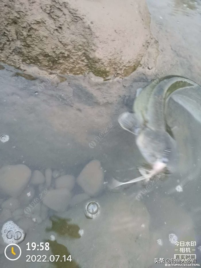 7鏈堥奔,7鏈堥奔浜у嵉