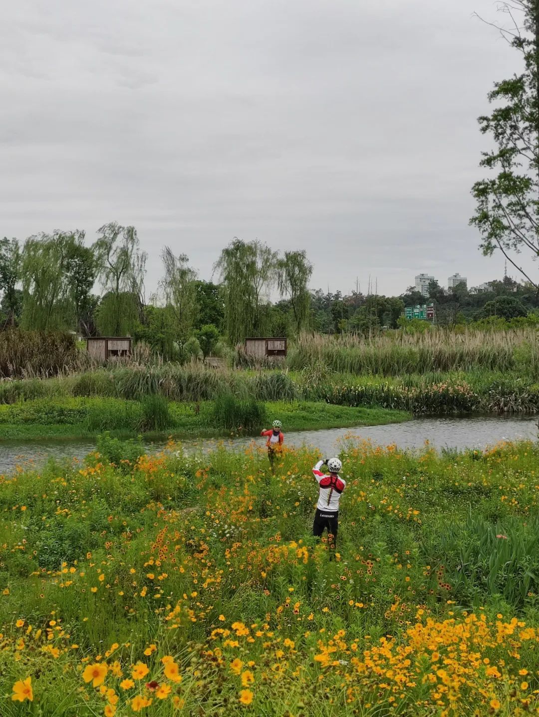 亲测1200公里,环绕天府绿道骑行一圈有多少公里